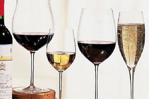 Види келихів: чим відрізняються для червоного та білого вина? Які типи келихів взагалі бувають