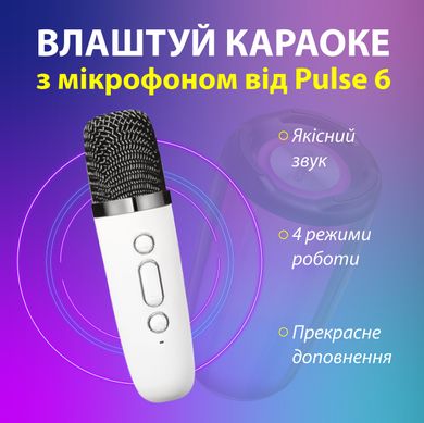 Портативна колонка bluetooth бездротова Pulse 6 з мікрофоном 10 Вт водонепроникна з акумулятором Білий