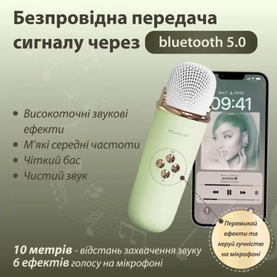 Колонка Bluetooth бездротова портативна з мікрофоном потужна колонка з вологозахистом TF card Platinum C-20 Зелений