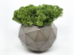 Сучасна ваза зі стабілізованим мохом Marry Arti Type МОЗ - 9,5х7см, темно-сірий
