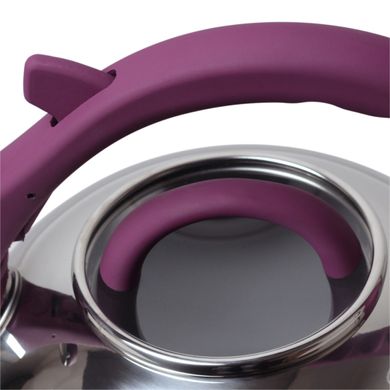 Чайник Kamille Фіолетовий 2.8 л з нержавіючої сталі зі свистком і скляною кришкою KM-0687A