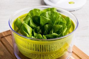 Практичне застосування сушок для зелені та салату