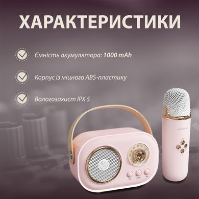 Колонка Bluetooth бездротова портативна з мікрофоном потужна колонка з вологозахистом TF card Platinum C-20