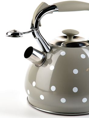 Чайник зі свистком і ручкою з покриттям "soft-touch" Kamille KM-0695GR - 3 л, сірий, Сірий