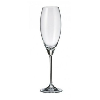 Набір келихів для шампанського Bohemia Carduelis 1SF06/00000/290 - 290 мл, 6 шт