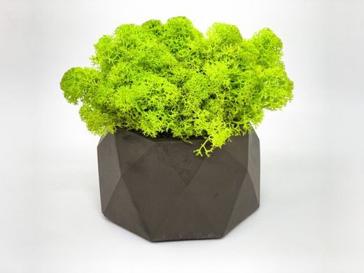 Сучасна ваза зі стабілізованим мохом Marry Arti Type LC - 10,5х6,5см, темно-сірий