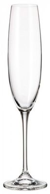 Набір келихів для шампанського Bohemia Fulica 1SF86/00000/250 - 250 мл, 6 шт