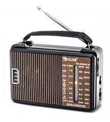 Портативний радіо приймач GOLON RX-A608AC від мережі 220В Коричневий