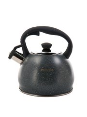 Чайник із нержавіючої сталі зі свистком із мармуровим покриттям Kamille KM-1072GR - 2 л, сірий мармур