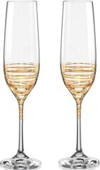 Набор бокалов для шампанского Bohemia Spiral 40729/190/M8441 - 190 мл, 2 шт
