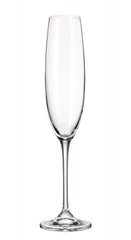 Набір келихів для шампанського Bohemia Fulica 1SF86/00000/250 - 250 мл, 6 шт