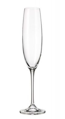 Набор бокалов для шампанского Bohemia Fulica 1SF86/00000/250 - 250 мл, 6 шт