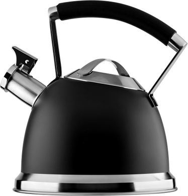 Чайник для плити Ardesto Black Mars (AR0747KS) - 2.5 л, Чорний