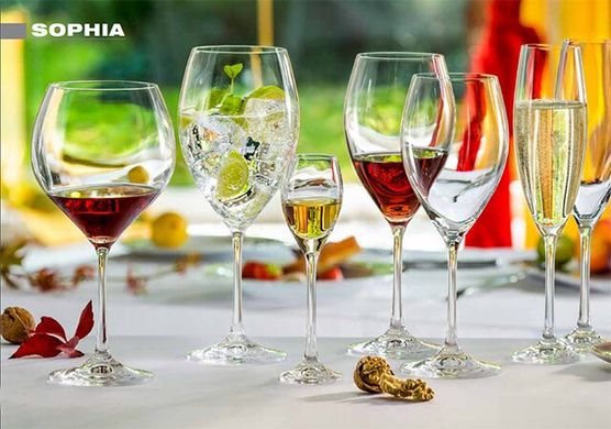 Набір бокалів для вина Bohemia Sophia 40814/490 - 490 мл, 6 шт