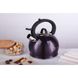 Чайник со свистком Berlinger Haus Purple Eclipse Collection BH-6831 - 3 л