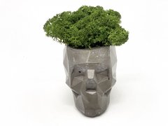 Современная ваза со стабилизированным мхом Marry Arti SKULL З — 8х5x6,5см, темно-серый