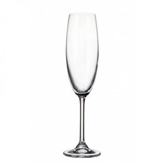 Набір бокалів для шампанського Bohemia Colibri (Gastro) 8613 (4S032 00000 220) - 6 штук, 220 мл