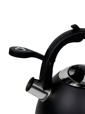Чайник зі свистком і ручкою "soft touch" Kamille KM-0860 - 3 л, чорний