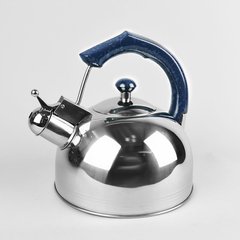Чайник зі свистком (нержавіюча сталь) RAINBOW Maestro MR1310-с - 3.5л/синій