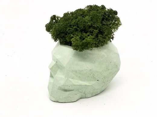 Сучасна ваза зі стабілізованим мохом Marry Arti SKULL З - 8х5x6, 5см, м'ятний