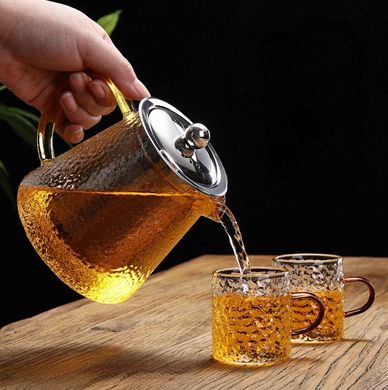 Стильний скляний чайник-заварник Edenberg EB-19062 - 600 мл