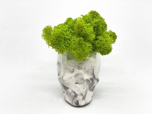Сучасна ваза зі стабілізованим мохом Marry Arti SKULL З - 8х5x6,5см, мармуровий
