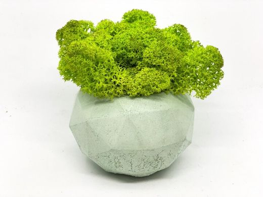 Сучасна ваза зі стабілізованим мохом Marry Arti - 9,5х7см, м'ята