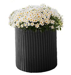 Горшок для цветов Keter Cylinder Planter Small, 7 л, серый, Серый