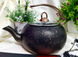 Чайник с антипригарным покрытием OMS 8211-L bronze - 2 л