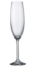 Бокал для шампанського Bohemia Gastro 4S032/00000/220 - 220 мл, 1 шт