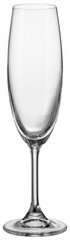 Набор бокалов для шампанского Bohemia Klara 4S415\00000\220 — 220 мл, 6 штук