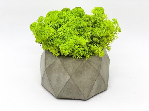 Сучасна ваза зі стабілізованим мохом Marry Arti Type LC - 10,5х6,5см, сірий