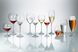Набір бокалів для вина Bohemia Carduelis 1SF06/00000/240 - 240 мл, 6 шт