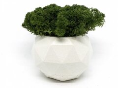 Современная ваза со стабилизированным мхом Marry Arti Type МОЗ — 9,5х7см, белый